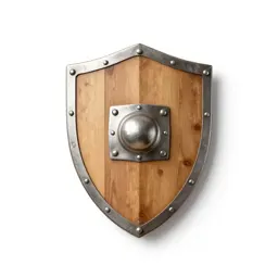 Wooden shield with an iron boss