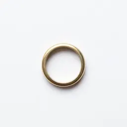 Enchanted ring