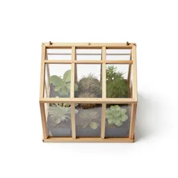 Mini greenhouse