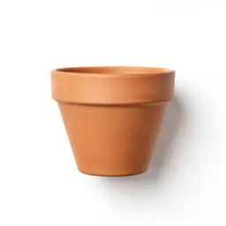 Terracotta plant pot