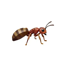 Bullet ant