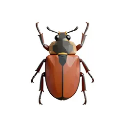Diving beetle