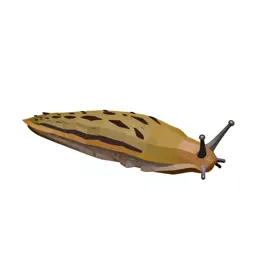 Garden slug