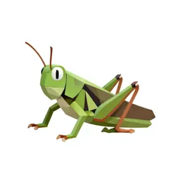 Grasshopper