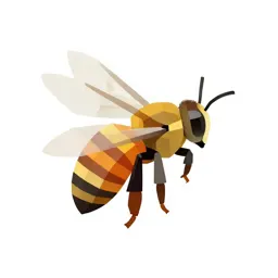 Honeybee on a comb