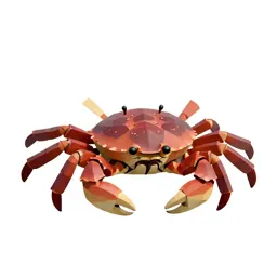 Horseshoe crab