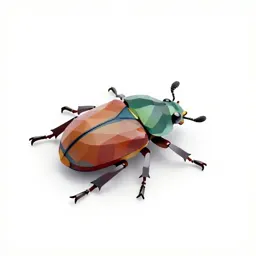 Jewel beetle