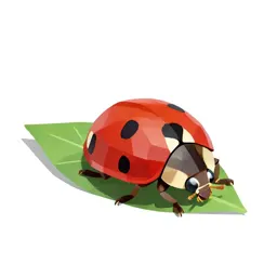 Ladybird on a leaf