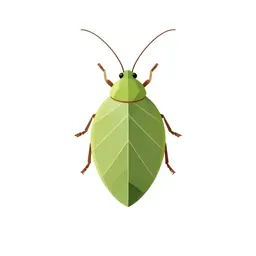 Leaf insect