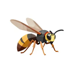 Paper wasp