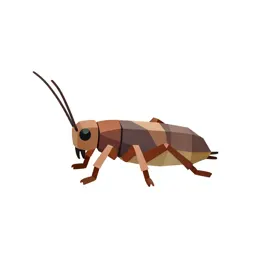 Springtail