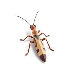 Stick insect
