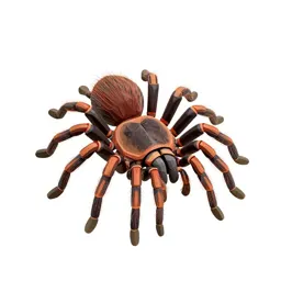 Tarantula