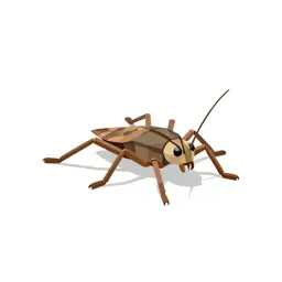 Water strider