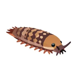 Woodlouse