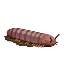 Earthworm in soil