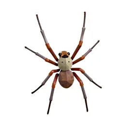 Orb weaver on its web