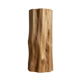 Piece of petrified wood