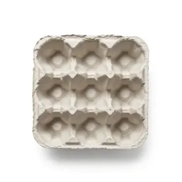 Moulded pulp egg carton