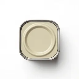 Paint tin with a lever lid