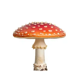 Fly agaric mushroom