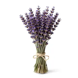 Lavender bunch tied with twine