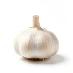 Bulb of garlic