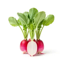 Bunch of radishes with tops