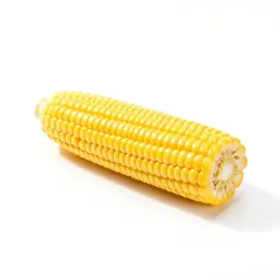Corn cob with husk peeled