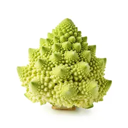 Head of romanesco