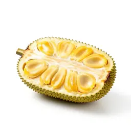 Jackfruit segment