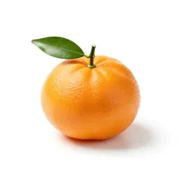 Mandarin with leaves