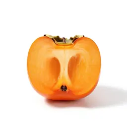 Persimmon