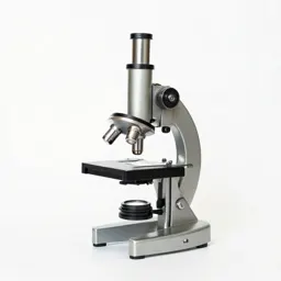 Compound microscope