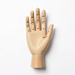 Prosthetic hand