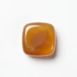Amber specimen
