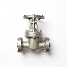Reactor coolant valve