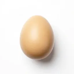 Xeno egg casing