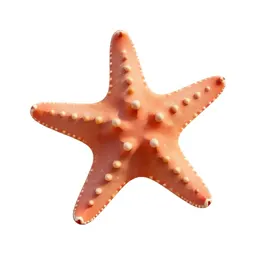 Brittle star