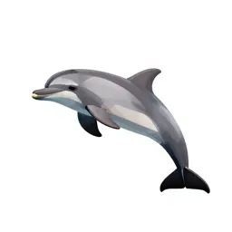 Dolphin mid-leap