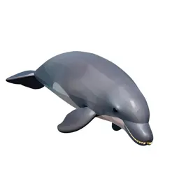Dugong grazing