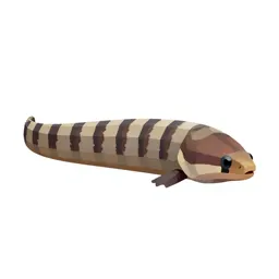 Garden eel