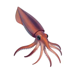 Giant squid