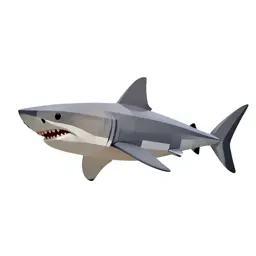 Great white shark