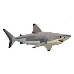 Hammerhead shark