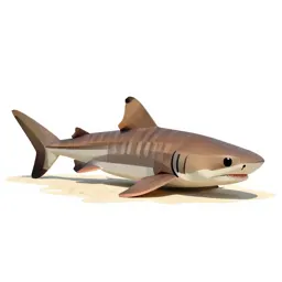 Leopard shark on sand
