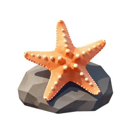 Starfish on rock