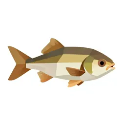 Sunfish