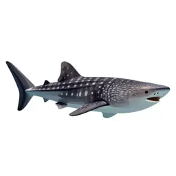 Whale shark with remoras