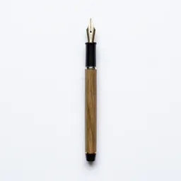 Calligraphy dip pen with nibs